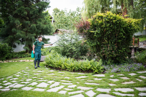 Best Pest Control Near Me  in Smithville, NJ