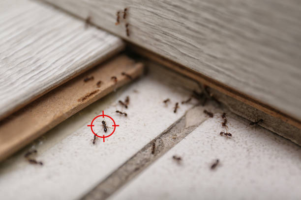 Best Commercial Pest Control Services  in Smithville, NJ