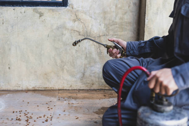 Best Wasp Removal Services  in Smithville, NJ