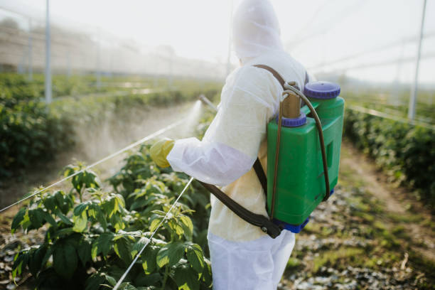 Best Bed Bug Extermination  in Smithville, NJ